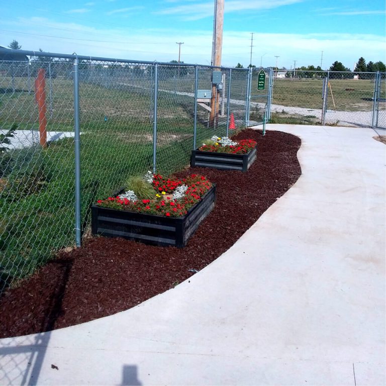 2 new plant gardens outside the gate of Monument dog park